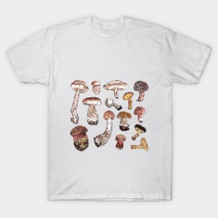 Mushrooms T-Shirt